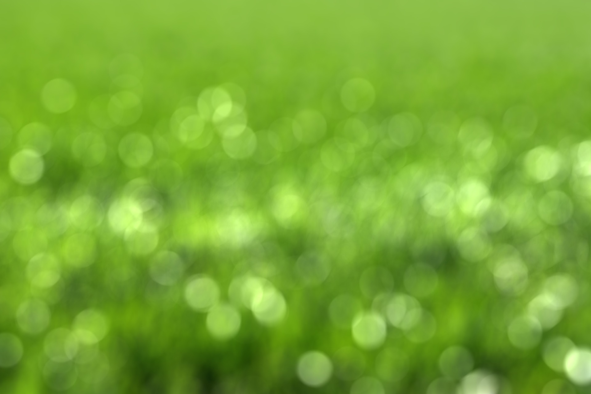 Диана К. Нью-Йорк